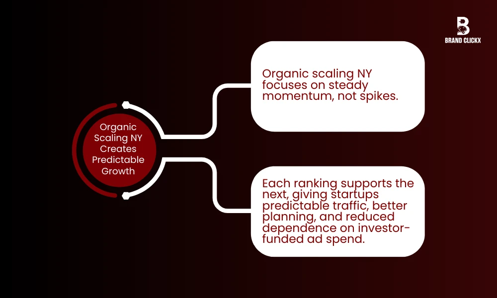 | Why SEO Is Critical for New York Startups (2025 Growth Playbook) Organic Scaling NY Creates Predictable Growth