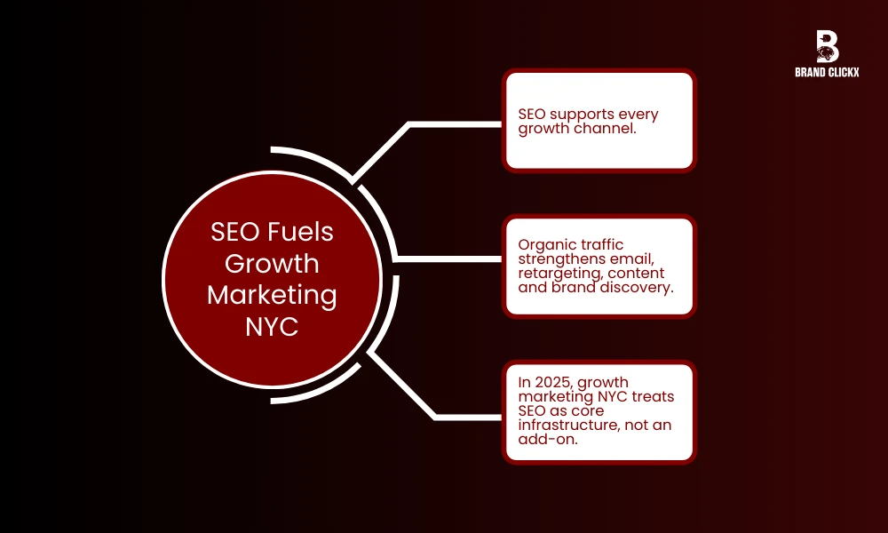 | Why SEO Is Critical for New York Startups (2025 Growth Playbook) SEO Fuels Growth Marketing NYC