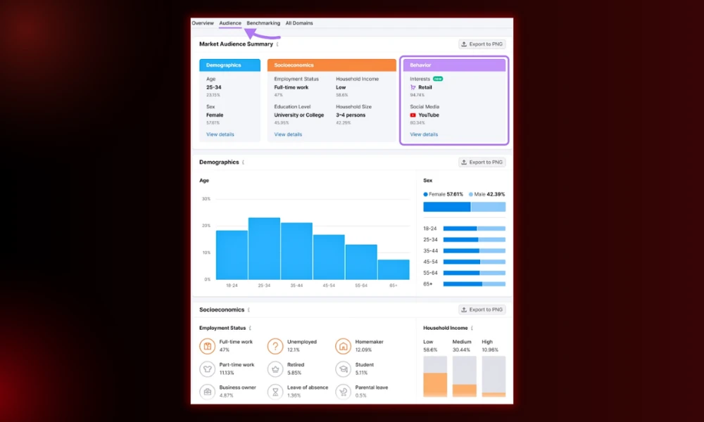 | Marketing Fundamentals: Skip the Fluff Target audience analytics dashboard displaying market summary data, customer demographics, buying behavior, and user persona metrics.