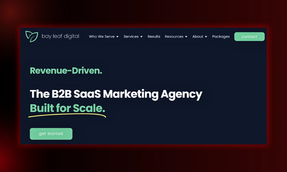 | 19 Paid Social Agencies Scaling SaaS User Acquisition Bay Leaf Digital