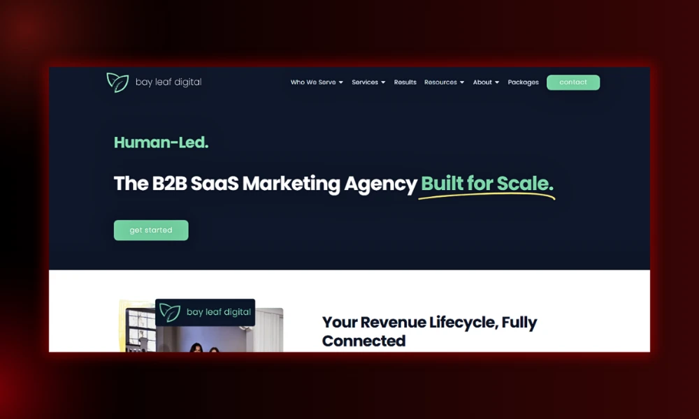 | 13 SaaS PPC Agencies Managing $1M+ Monthly Ad Spend Bay Leaf Digital