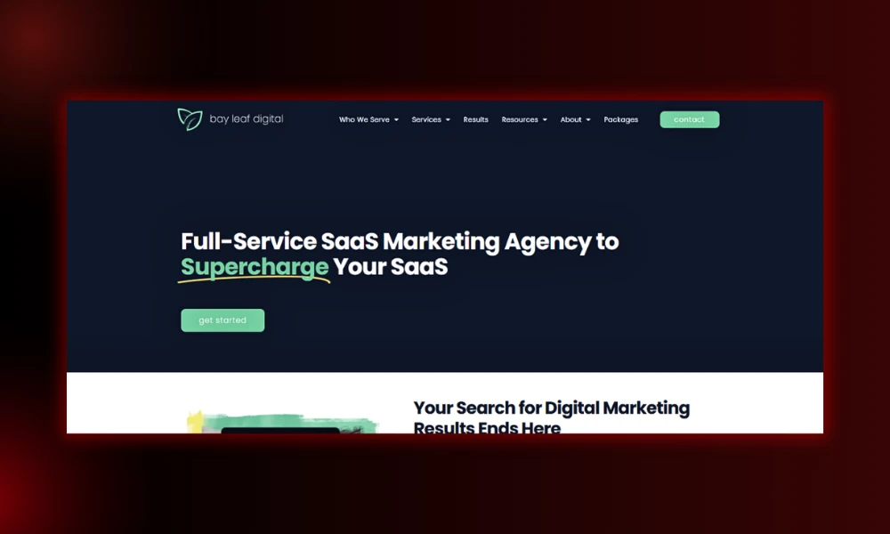 | 15 Performance Marketing Agencies Specializing in B2B SaaS Bay Leaf Digital