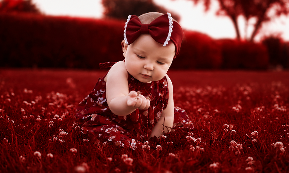 Baby girl with a bow headband sitting in a field of red flowers.