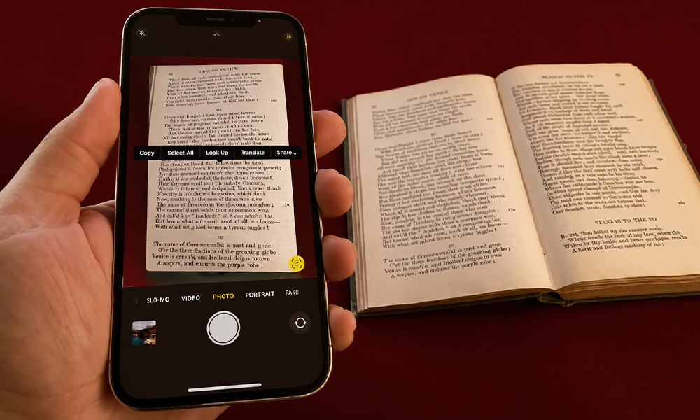 | Hidden iPhone Camera Tricks You Should Start Using Right Now Smartphone camera interface capturing a scenic landscape view.