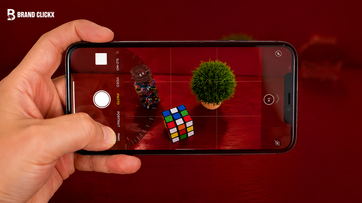 taking-photo-of-plant Hands holding a smartphone to photograph a small plant on a red background.