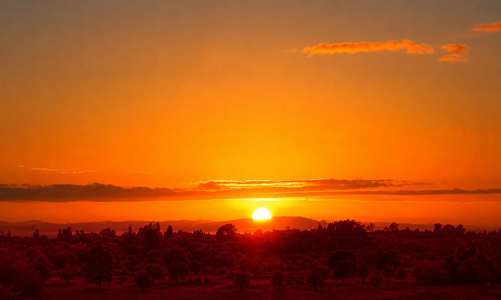 Scenic view of a peaceful sunrise or sunset