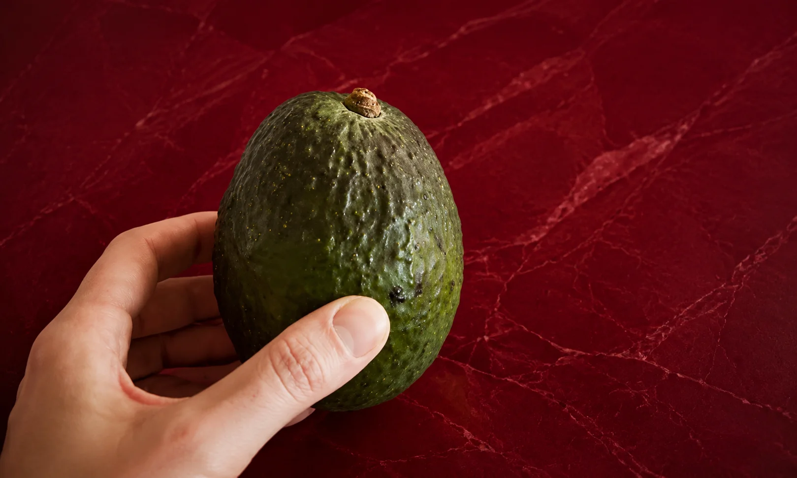 Hand holding a whole avocado set against a rich red studio backdrop.