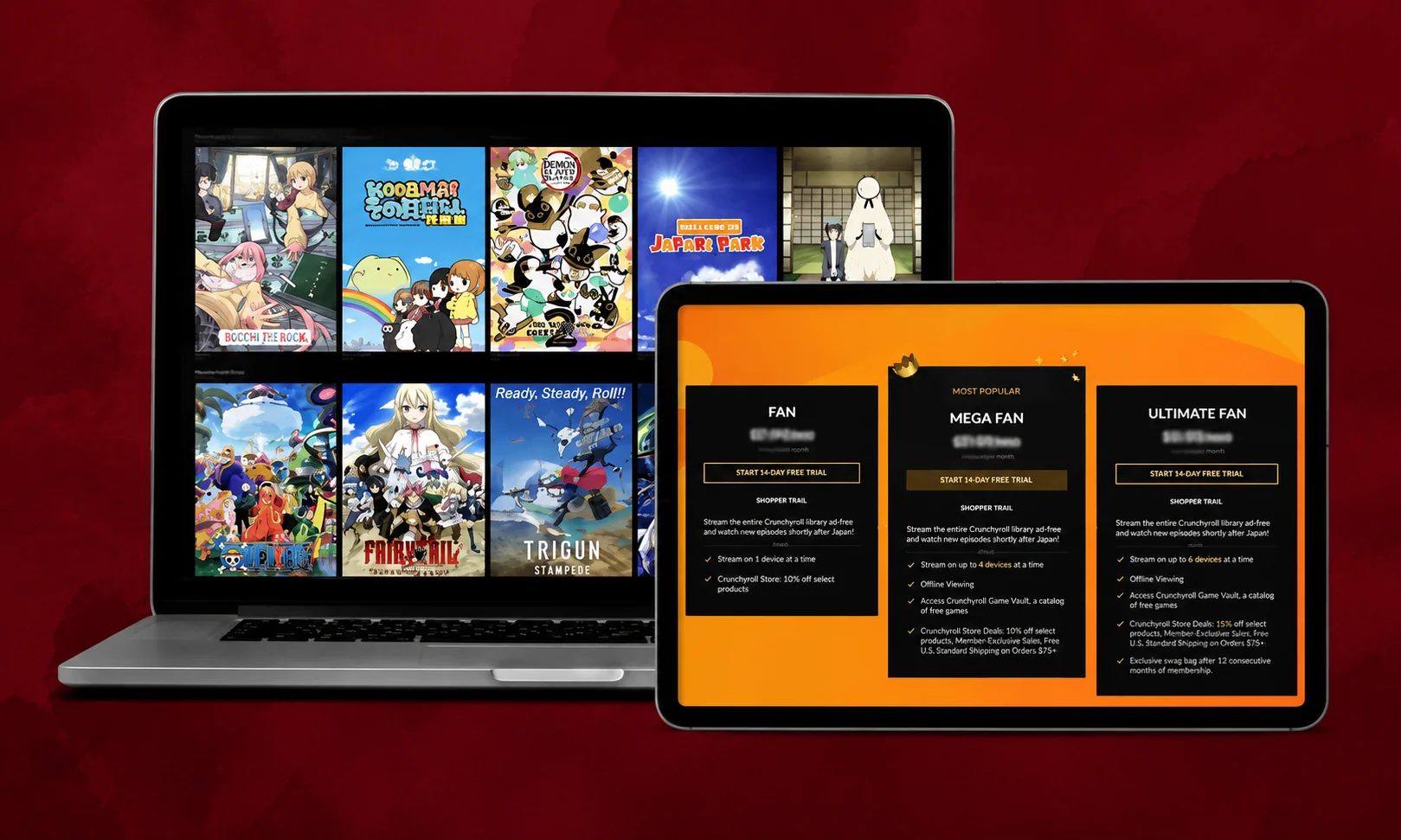 A document detailing the key features and capabilities offered by Crunchyroll.