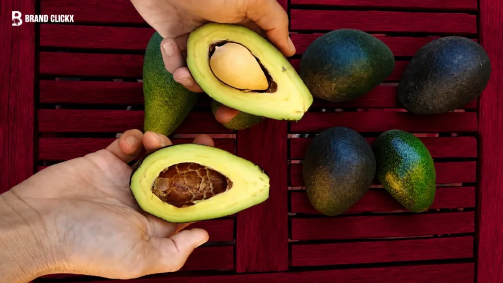 Hands holding sliced avocados against a dark red ambient background.