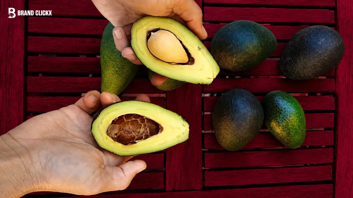 Hands holding sliced avocados against a dark red ambient background.