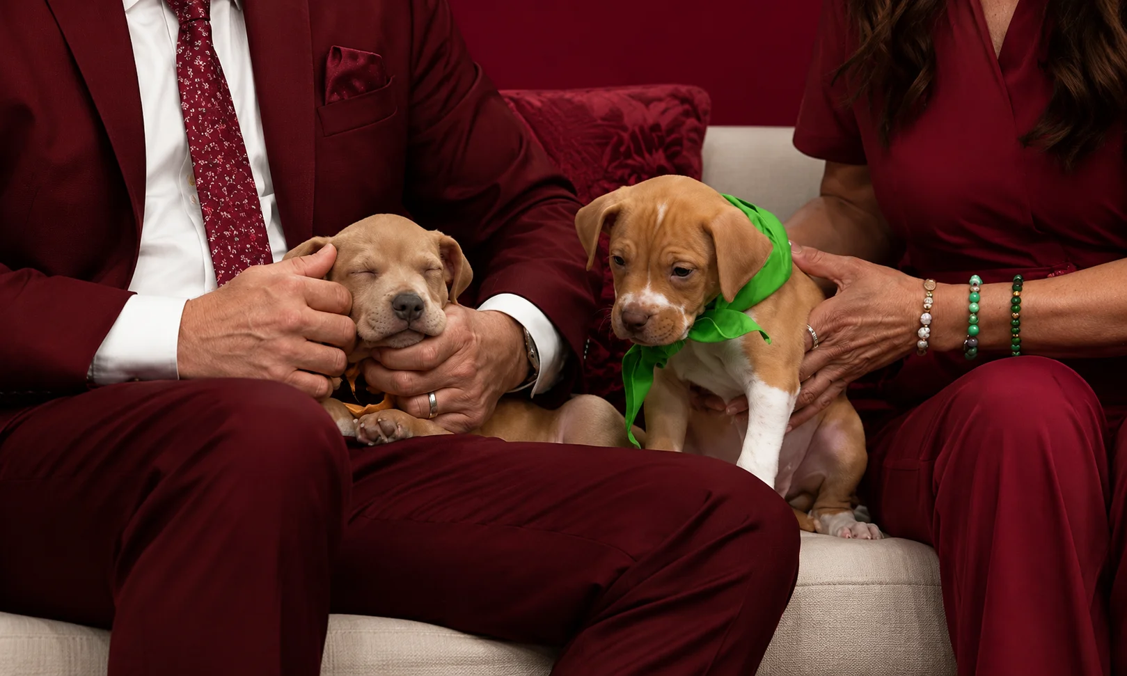 An overview highlighting PetSmart's role and involvement in pet adoption programs.