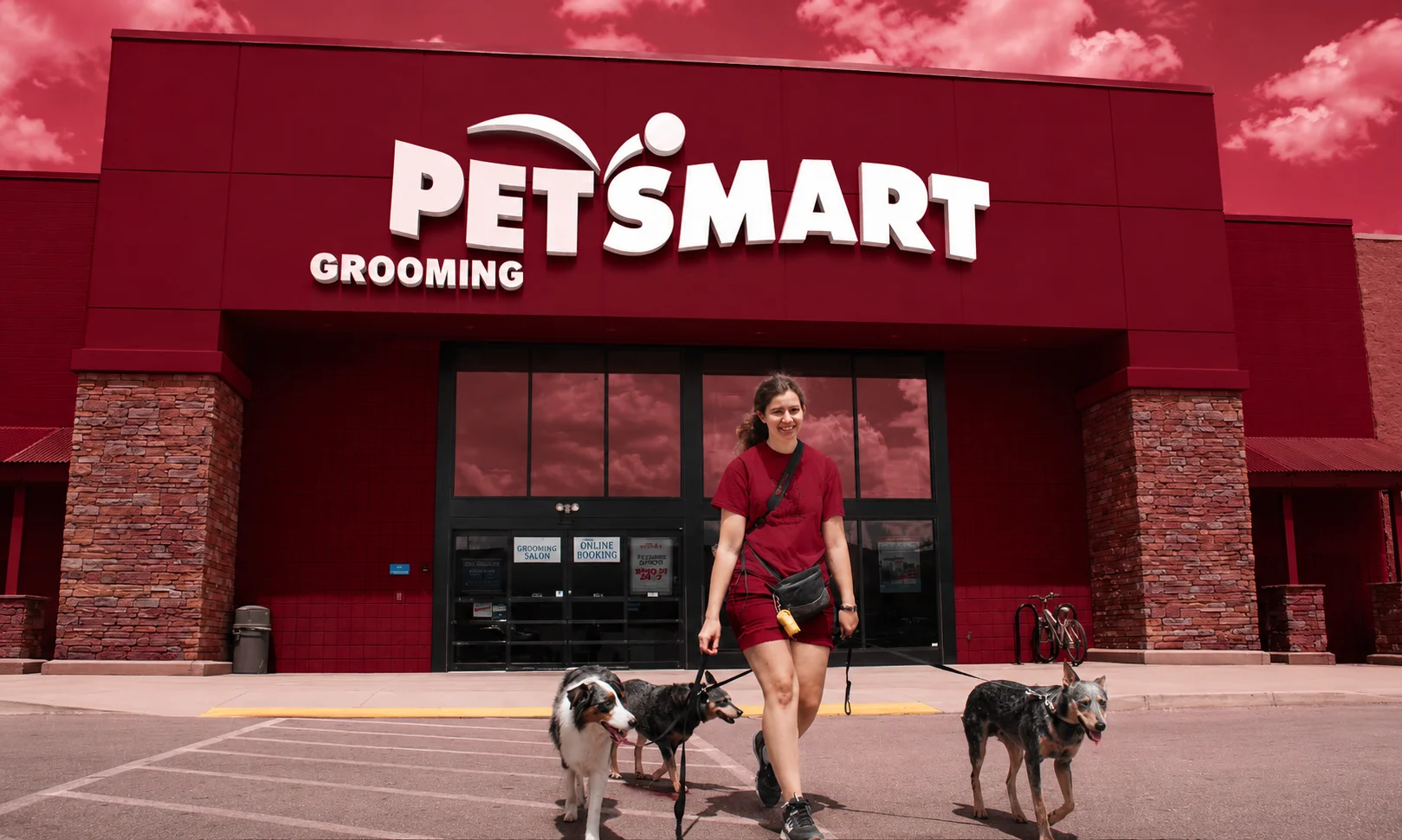 An article or document explaining what PetSmart is.