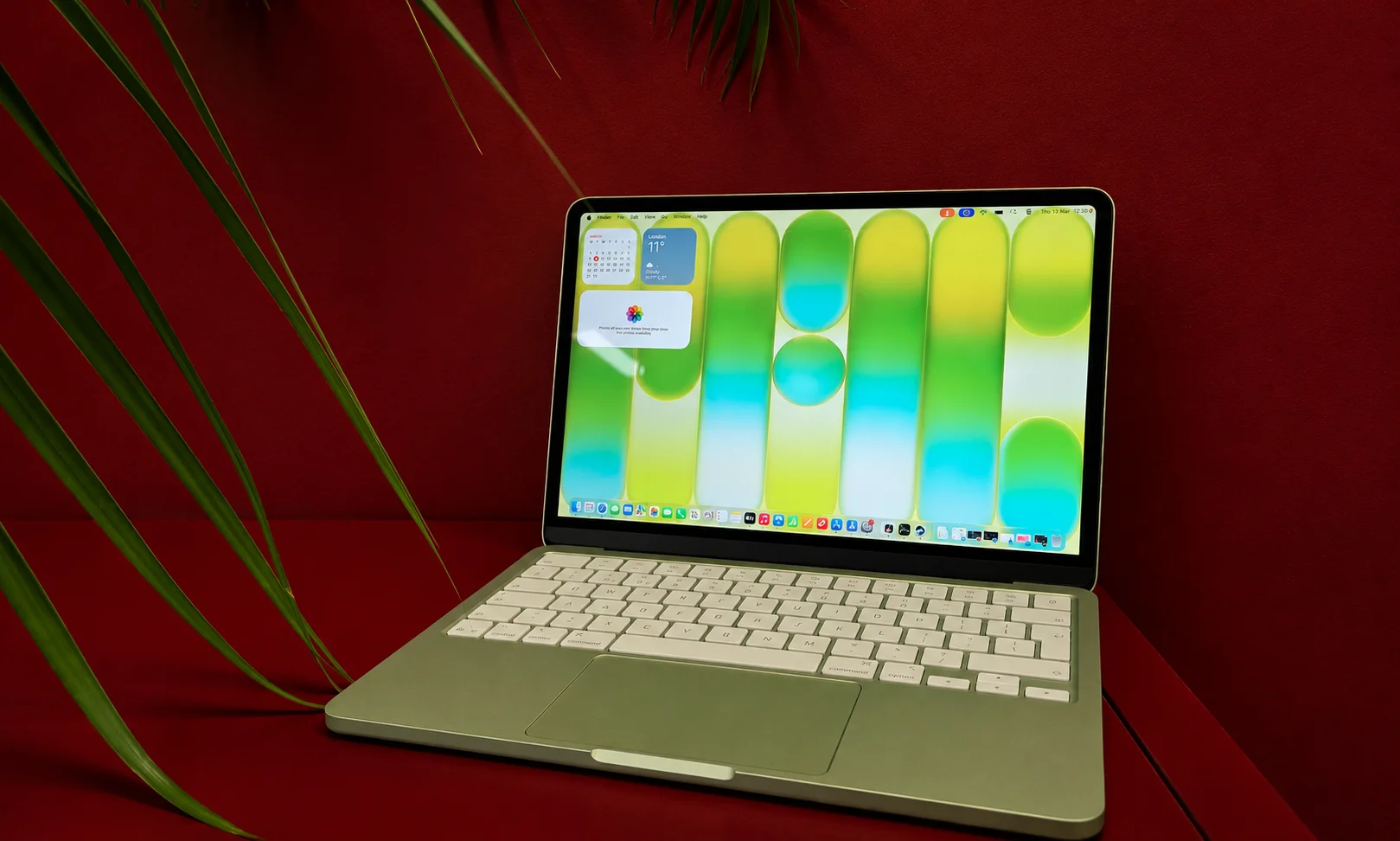 A sleek compact laptop open on a desk next to green indoor plants.
