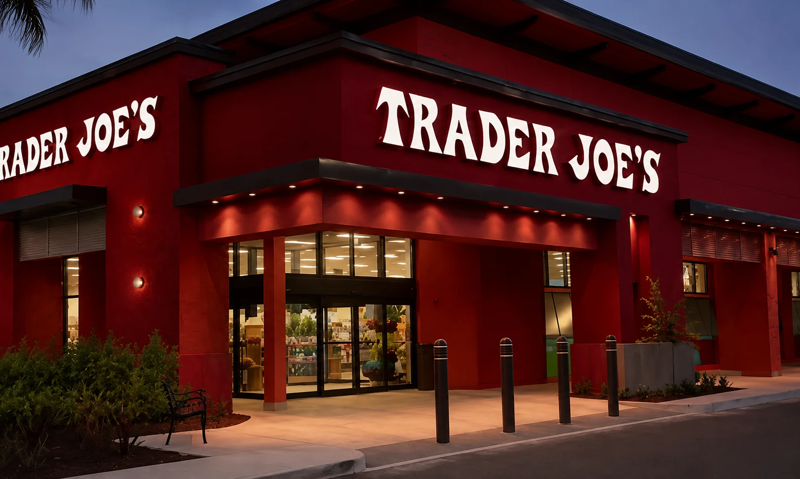Overview of Trader Joe's ownership and leadership