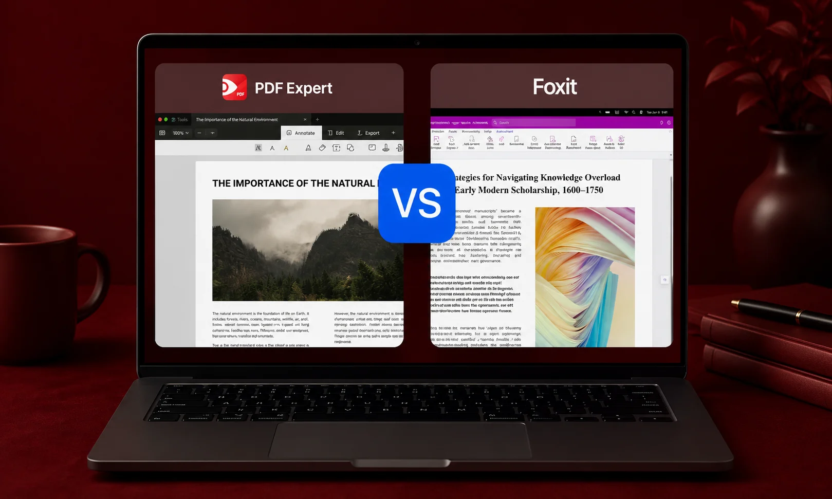 A version variation of an internal PDF asset.